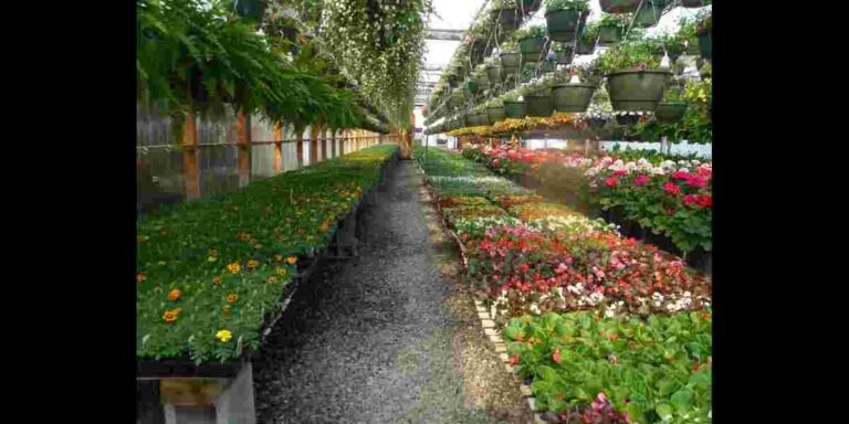 চাকরির পাশাপাশি ব্যবসা