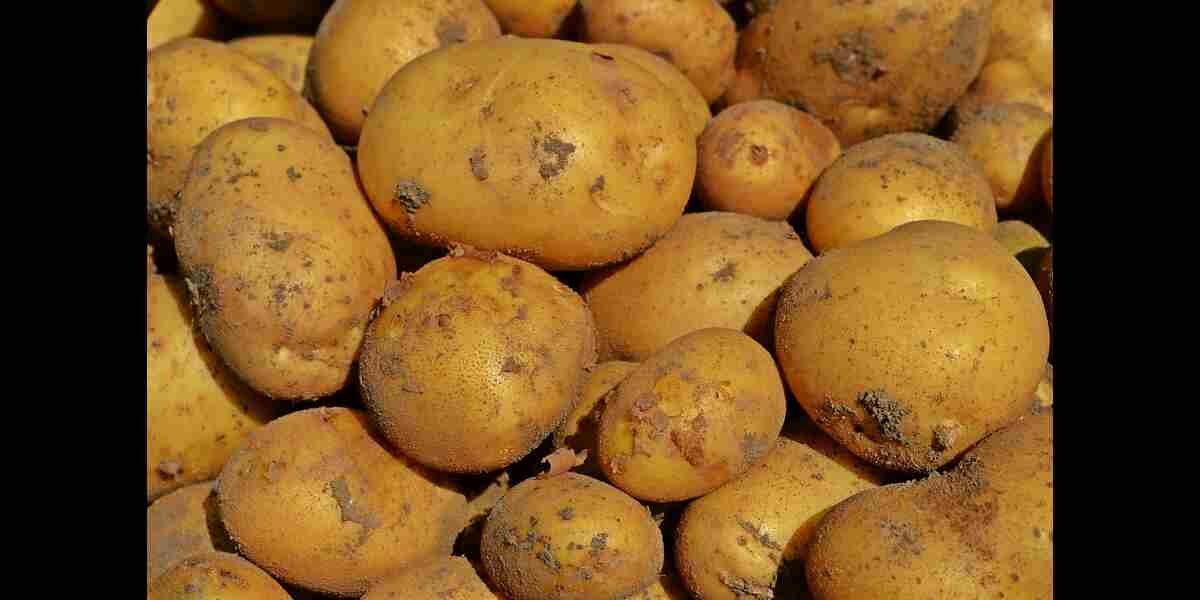 লাভজনক স্টক ব্যবসার আইডিয়া